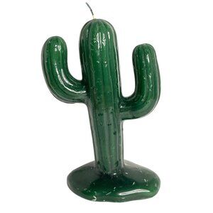 Green Cactus Candle Southwestern Sonoran Desert Saguaro Cacti Mexico Arizona VTG